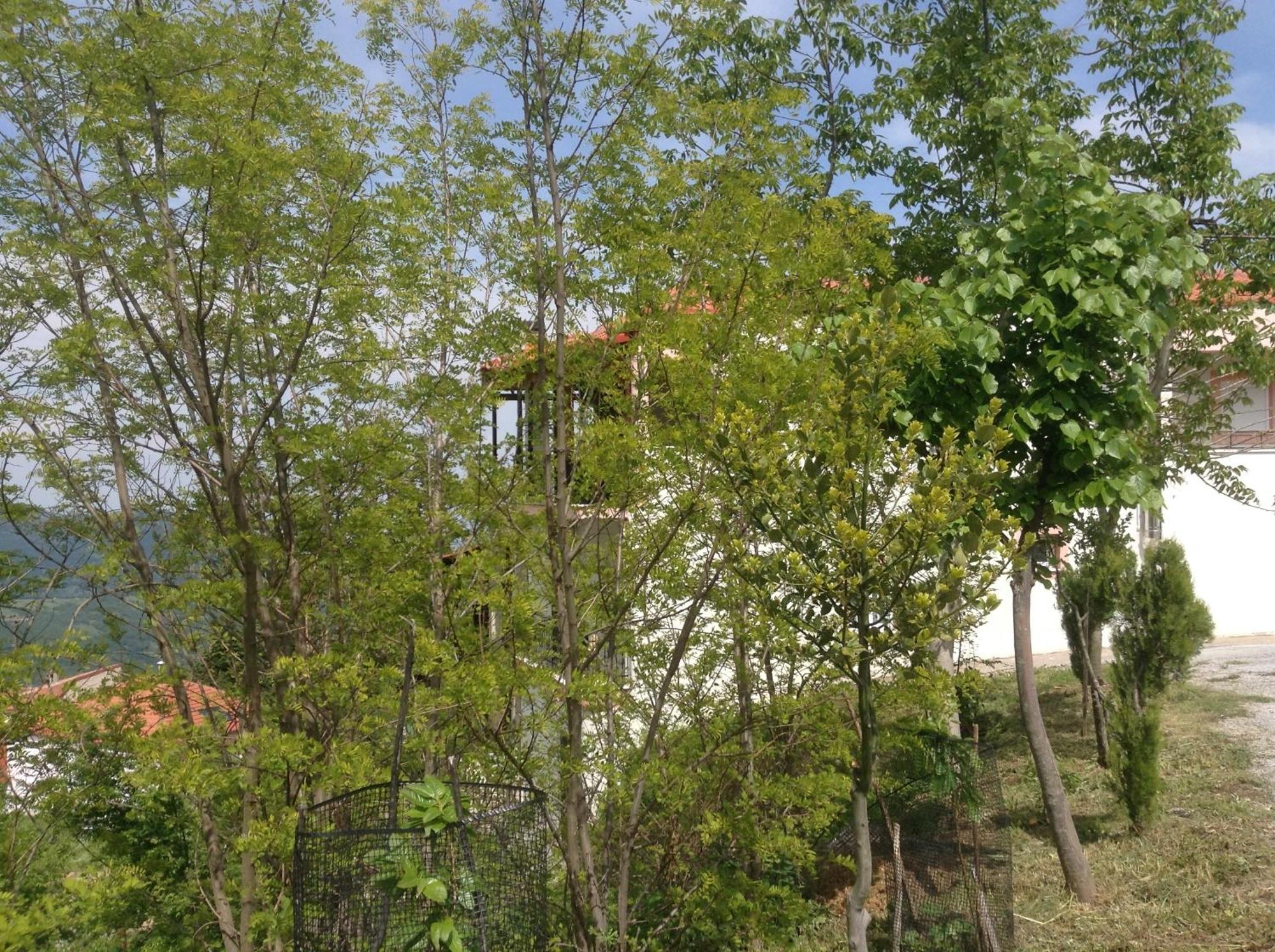 Πανδοχείο Λίμνης Πλαστήρα Hotel Kastania  Ngoại thất bức ảnh